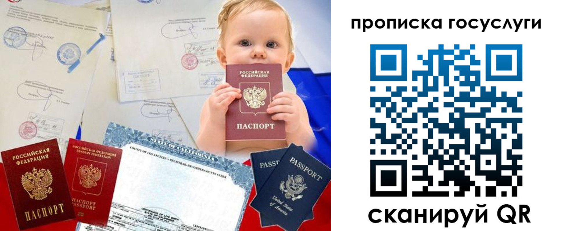 прописка регистрация в Дмитрове